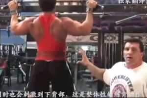 米洛斯训练教学视频
