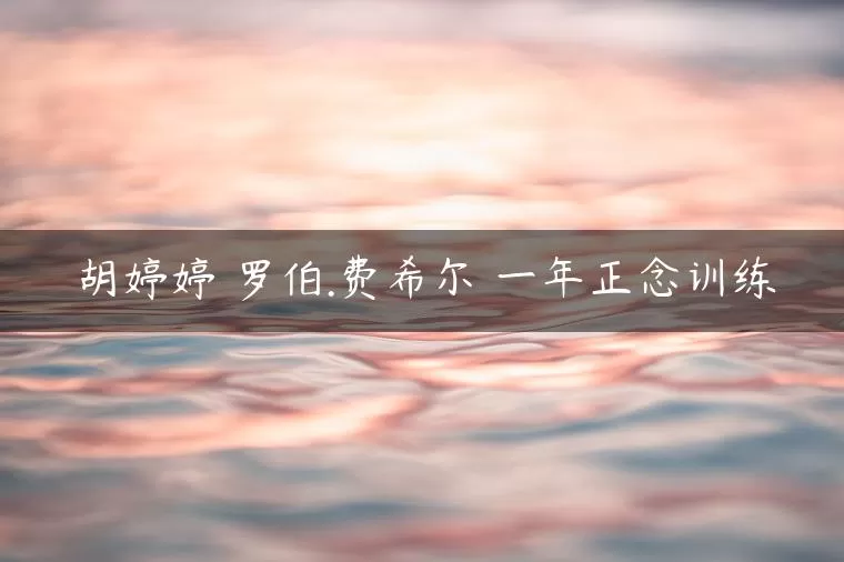 胡婷婷 罗伯.费希尔 一年正念训练 咨询师如何进行自我成长?专业咨询技能提升 1 1654208500 胡婷婷 罗伯.费希尔 一年正念训练 咨询师如何进行自我成长?专业咨询技能提升