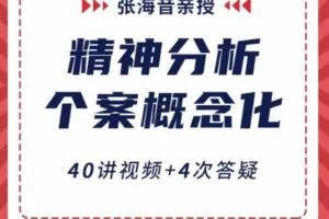 张海音·精神分析个案概念化40讲视频
