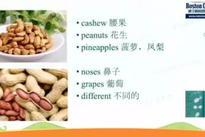 善恩英语苏斯博士（完结）