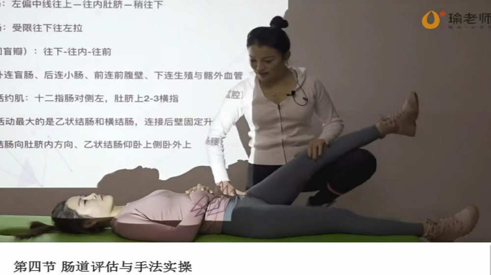 1656466038 瑜老师 张美玲 内脏筋膜实操手法精讲系统课程