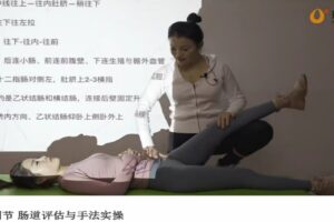 瑜老师 张美玲 内脏筋膜实操手法精讲系统课程