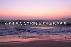 最新李茂发达摩108手正骨手法视频讲解（电脑百度网盘软件观看）
