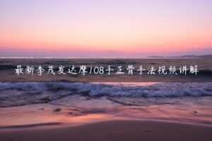最新李茂发达摩108手正骨手法视频讲解（电脑百度网盘软件观看）