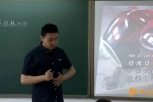 巨人网校少年文学大语文第三阶段上部