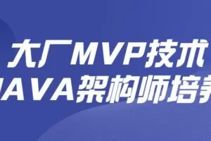 大厂MVP技术JAVA架构师培养