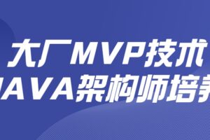 大厂MVP技术JAVA架构师培养