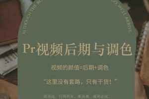 【缺课】光拾阿飞2022年pr视频后期与调色【画质超清有大部分素材】