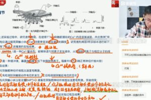 张鹏 高三生物2021年秋季班