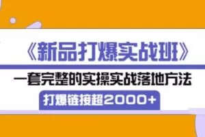《新品打爆实战班》一套完整的实操实战落地方法，打爆链接超2000+（38节课)