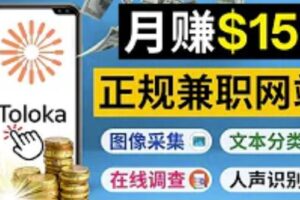 正规网络兼职赚钱平台Toloka，利用业余时间月赚150美元