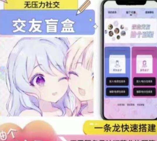搭建交友盲盒网站，号称一天300—500＋【源码+教程】