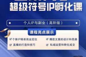 巨象超级IP孵化高阶陪跑课，建立流量思维底层逻辑，打造属于自己的IP