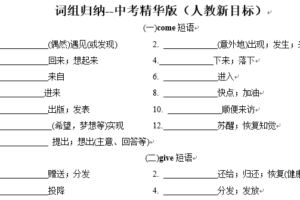 中考英语知识及解题技巧（人教新目标版）