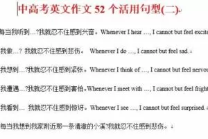 初中英语中考专题复习系列