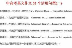 初中英语中考专题复习系列