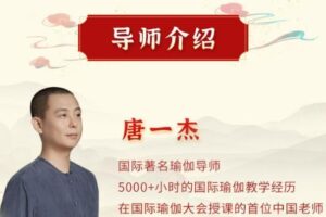 唐一杰：调身养心安神，绽放生命智慧 十二经络养生实修深度班 视频课