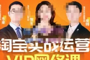 淘宝VIP线上直播课（八月完结），直通车爆款打造法，无线端权重与详情转化秘密等多套合集
