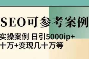 白杨全网SEO可参考案例库，几十个实操案例日引5000ip+涨粉百W+变现几十W等!