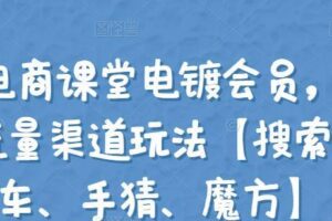 大王真电商课堂电镀会员，覆盖淘系4大流量渠道玩法【搜索、直通车、手猜、魔方】