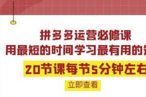 拼多多运营必修课：20节课每节5分钟左右，用最短的时间学习最有用的知识