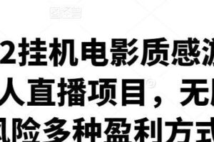 2022挂机电影质感游戏类无人直播项目，无版权风险多种盈利方式