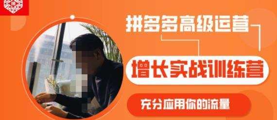 拼多多高级运营增长实战训练营，充分应用你的流量（拼多多2980元付费课程）