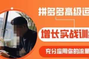 拼多多高级运营增长实战训练营，充分应用你的流量（拼多多2980元付费课程）