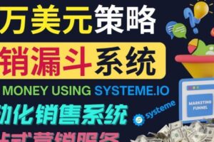 如何利用营销漏斗（SaleFunnels）赚百万美元：自动销售系统