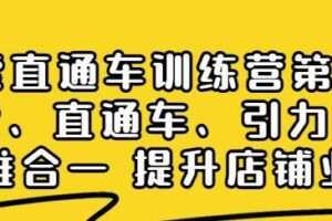 搜索直通车训练营第2期:搜索、直通车、引力魔方三维合一提升店铺业绩
