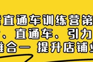 搜索直通车训练营第2期：搜索、直通车、引力魔方三维合一提升店铺业绩