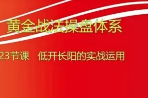 【小龙女】量学大讲堂-聂金群《量学黄金战法》第八期