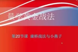 【小龙女】量学大讲堂-聂金群《量学黄金战法》第二期