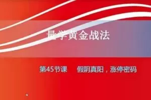 【小龙女】量学大讲堂-聂金群《量学黄金战法》第三期