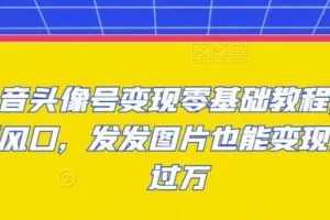 抖音头像号变现零基础教程，全新风口，发发图片也能变现月入过万