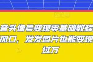 抖音头像号变现零基础教程，全新风口，发发图片也能变现月入过万