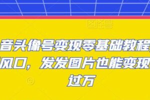 抖音头像号变现零基础教程，全新风口，发发图片也能变现月入过万