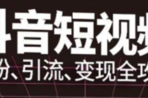 抖音视频号高级实操与理论课程：吸粉、引流、变现全攻略，从小号到大V的抖音运营精通手册