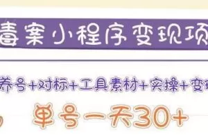森罗万项毒案小程序变现项目：养号+对标+工具素材+实操+变现，单号一天30+