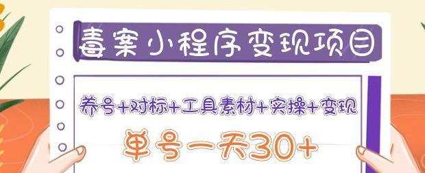森罗万项毒案小程序变现项目：养号+对标+工具素材+实操+变现，单号一天30+