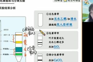 高途2023高三高考生物段瑞莹暑假复读班