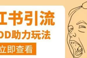 利用小红书卖拼多多助力，日赚100+，顺便还能引个流【视频课程】