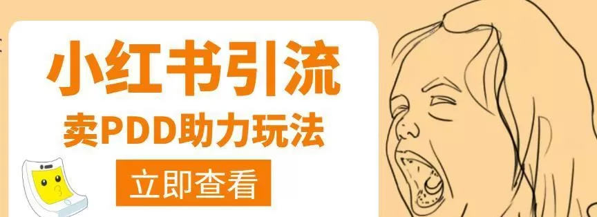 利用小红书卖拼多多助力,日赚100+,顺便还能引个流【视频课程】 1 利用小红书卖拼多多助力,日赚100+,顺便还能引个流【视频课程】