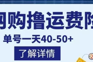 网购撸运费险项目，单号一天40-50+，实实在在能够赚到钱的项目【详细教程】