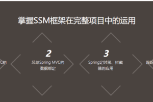 IT段子手详解MyBatis遇到Spring 秒学Java SSM开发大众点评