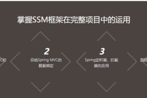 IT段子手详解MyBatis遇到Spring 秒学Java SSM开发大众点评