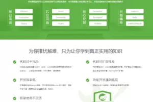 Java Spring带前后端开发完整电商平台