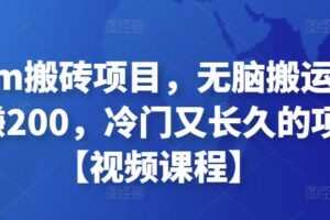 Steam搬砖项目，无脑搬运，一单赚200，冷门又长久的项目【视频课程】