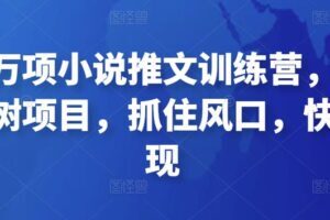 森罗万项小说推文训练营，万年常青树项目，抓住风口，快速变现