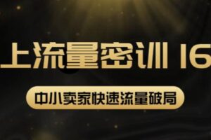 2022秋秋线上流量密训16.0：包含暴力引流10W+中小卖家流量破局技巧等等